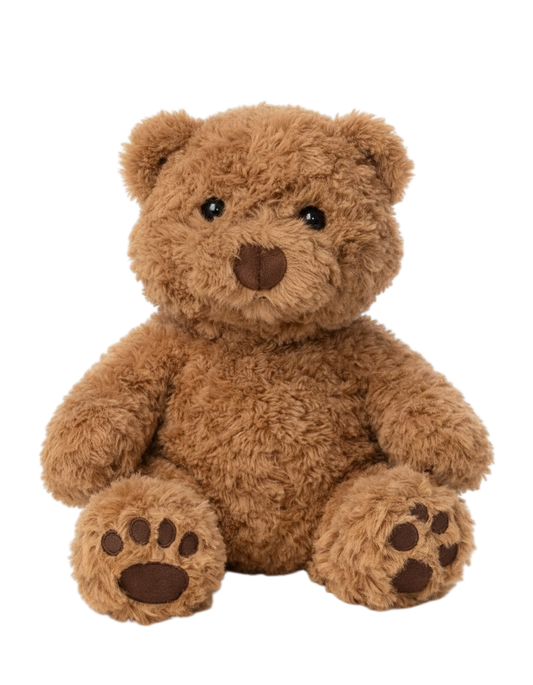AI teddy bear - Basic Model